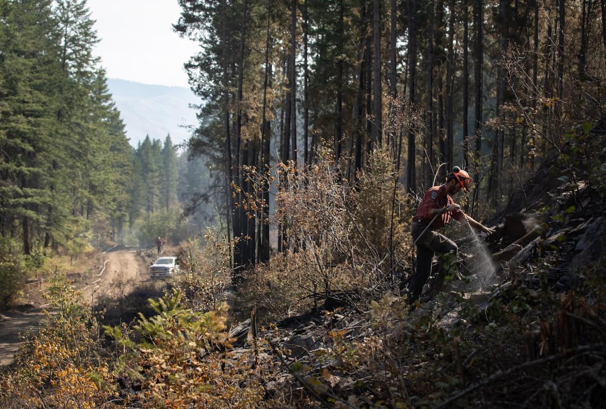 A wildland firefighter works on steep terrain to help contain the White Rock Lake wildfire in B.C. in 2021. (Darryl Dyck/The Canadian Press - image credit)