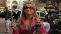 <p> When you have a character as iconic as Elle Woods, you need a just as awesome dog. And Bruiser is that. </p> <p> <em>Legally Blonde </em>is one of Reese Witherspoon's best movies, and Bruiser was a great addition that completed how excellent the film is. He was played by a little Chihuahua who was there for Elle through her darkest times at Harvard and stood by her through everything. And in the second film it's revealed that Bruiser is part of the LGBTQ+ community, so he's even <em>more </em>iconic. We can't help but be fans. </p>