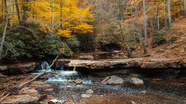 Mercer County, West Virginia