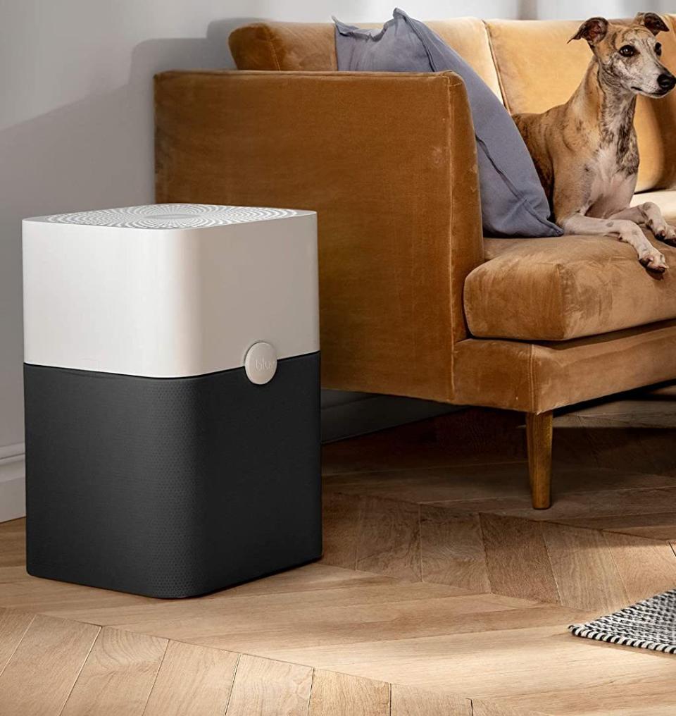 best air purifier black friday