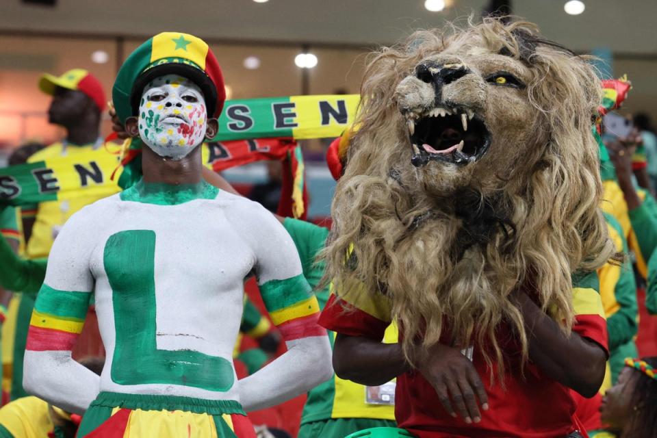 Supporters du Sénégal (AFP via Getty Images)