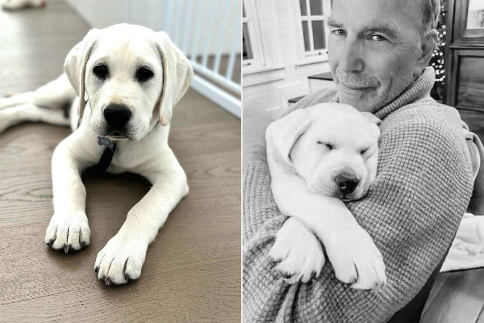 <p>Kevin Costner/Instagram</p> Kevin Costner with his puppy, Bobby