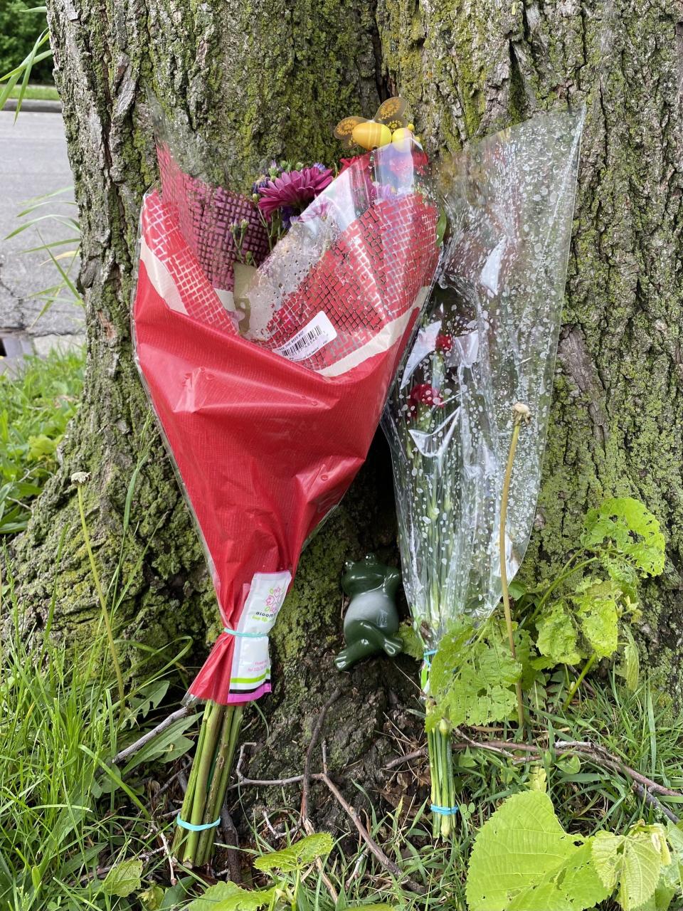 Two bouquets of flowers and a figurine of a frog rest against a tree on the corner of West Halsey Avenue and South 14th Street, where two 15-year-olds were killed during a shooting on Saturday night in Milwaukee.
