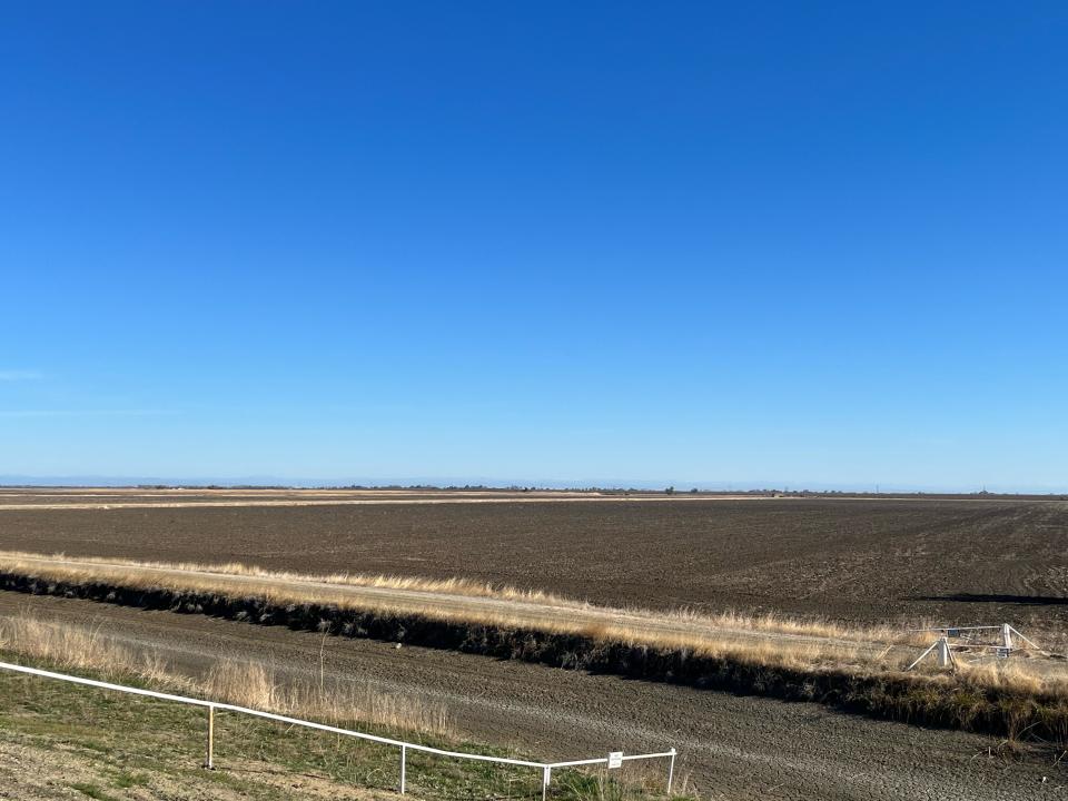 A fallow rice field near Dunnigan, California in 2022. Sean Doherty of Sean Doherty Farms was only able to plant four of his 20 rice fields in 2022 due to drought conditions.