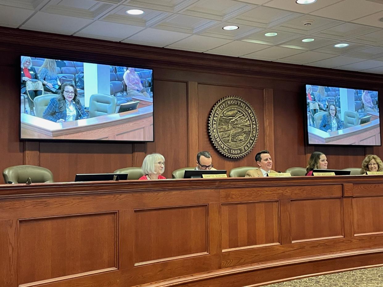 Rep. Tamara St. John, R-Sisseton, speaks in front of the House State Affairs committee about a bill to establish an Indian Child Advisory Council on Wednesday, Feb. 14, 2024.