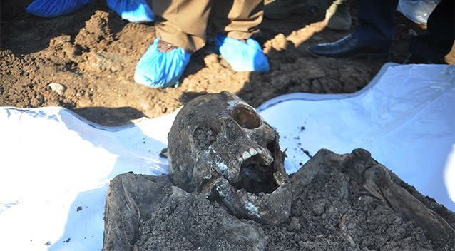 A skeleton exhumed from a mass grave containing Yazidis killed by Islamic State militants in the Sinjar region of northern Iraq. Photo: AP/ Kurdish Mass Graves Directorate