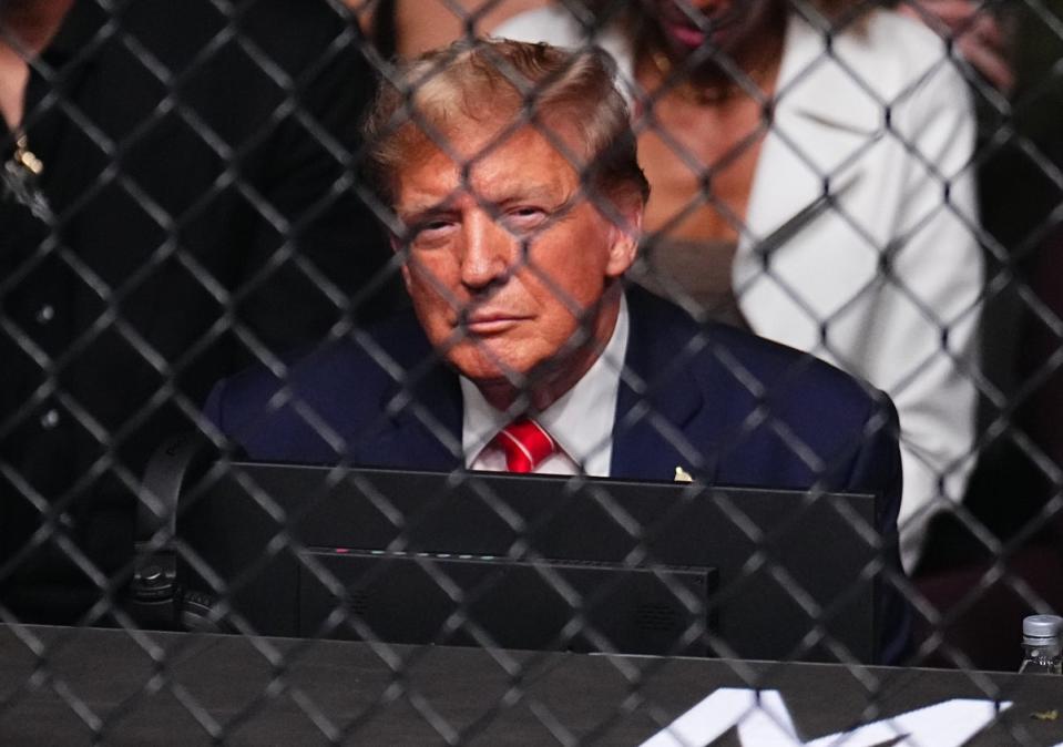 Donald Trump attended the UFC fights on Saturday (Zuffa LLC via Getty Images)