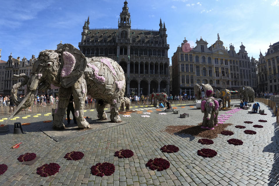Giant wooden elephants decorated with flowers in the Grand Place in Brussels, Belgium, Friday Aug. 11, 2023. Belgium has a century-old fling with surrealism and is always proud to flaunt it. This year they're combining it with an annual flower show in Brussels. (AP Photo/Mark Carlson)