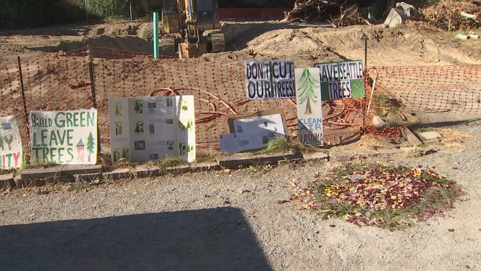Signs posted by neighbors in Seattle's Wedgwood neighborhood who want to save the tree.