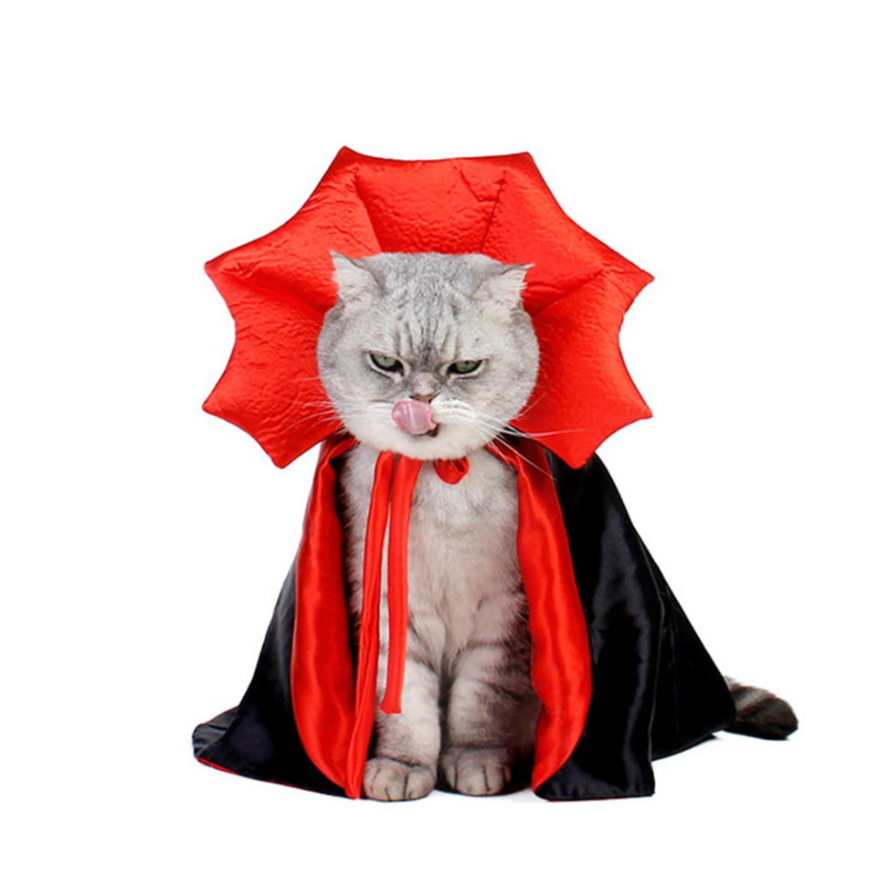 <p><a href="https://go.redirectingat.com?id=74968X1596630&url=https%3A%2F%2Fwww.walmart.com%2Fip%2FHalloween-Cat-Dog-Costume-Vampire-Cape-Pet-Costume-for-Cats-and-Small-Dogs-Cosplay-Party-Cat-Outfit-Clothes-for-Halloween-Party-Decoration%2F1028700732&sref=https%3A%2F%2Fwww.thepioneerwoman.com%2Fholidays-celebrations%2Fg44495776%2Fhalloween-costumes-for-cats%2F" rel="nofollow noopener" target="_blank" data-ylk="slk:Shop Now;elm:context_link;itc:0;sec:content-canvas" class="link ">Shop Now</a></p><p>Vampire Cat Costume</p><p>$9.99</p><p>walmart.com</p><span class="copyright">Walmart</span>