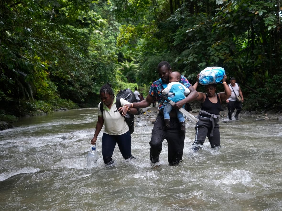 Haitian migrants wade through a river as they cross the Darien Gap, from Colombia into Panama, hoping to reach the U.S. on Oct. 15, 2022. One expert says the number of migrants making the perilous crossing suggests this summer will break all previous records for irregular migration into North America. (Fernando Vergara/Associated Press - image credit)