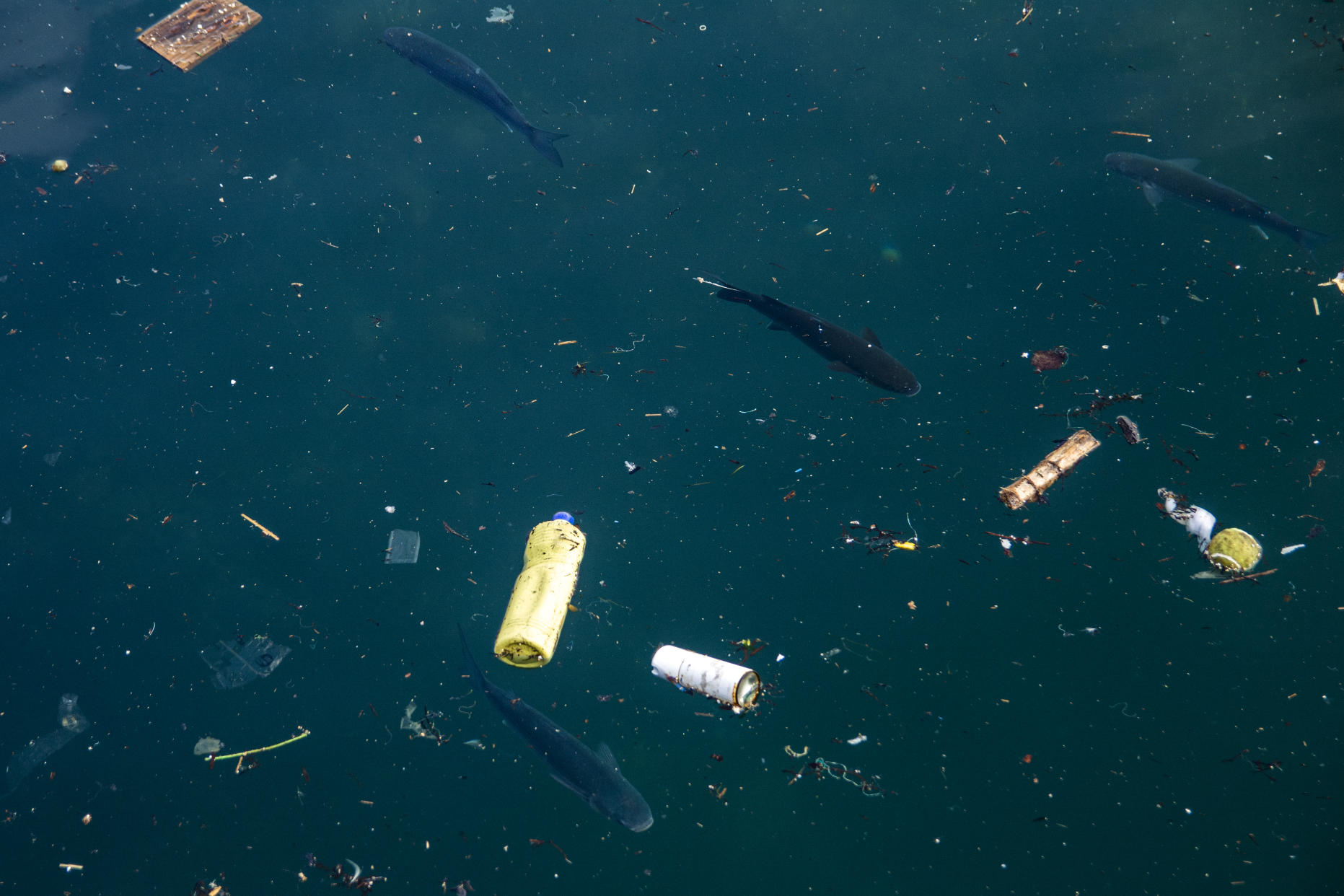 La contaminación de los mares con restos de plástico es un problema que no para de crecer (Foto:Getty)