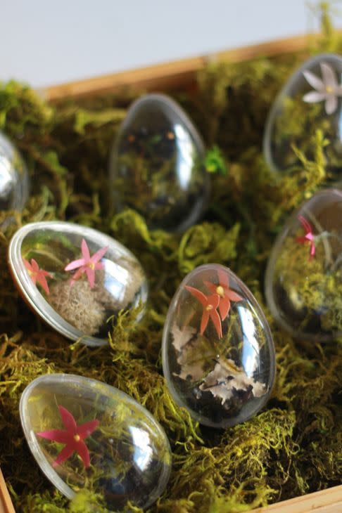 Easter Egg Terrariums