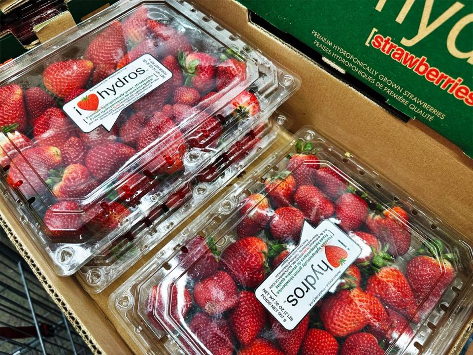 Clear plastic containers filled with dark-red strawberries in cardboard box at Costco