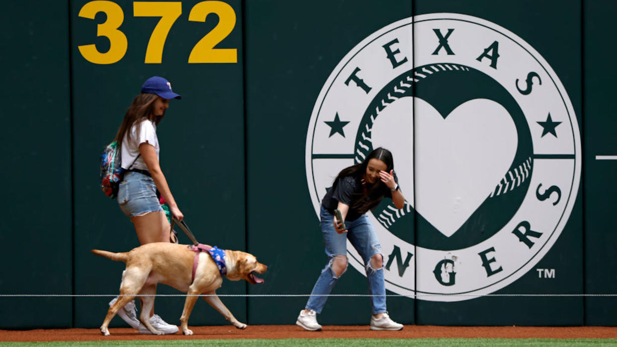 Dog walked at Bark in the Park day in Arlington Texas