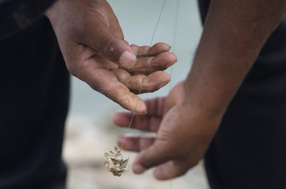 FILE - Fisherman Walter de la Cruz prepares his fishing hooks before casting a line into the waters of La Lluvia Beach in the Ventanilla district of Callao, Peru, Feb. 28, 2022. Artisanal fishermen are among the most economically vulnerable in Peru, harvesting small amounts of fish very close to the coast, sometimes from small boats and sometimes from the shore, said Juan Carlos Sueiro, an expert on the economics of fishing with the international conservation group Oceana. (AP Photo/Martin Mejia, File)