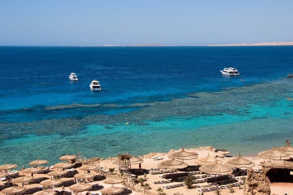 beach. red sea.