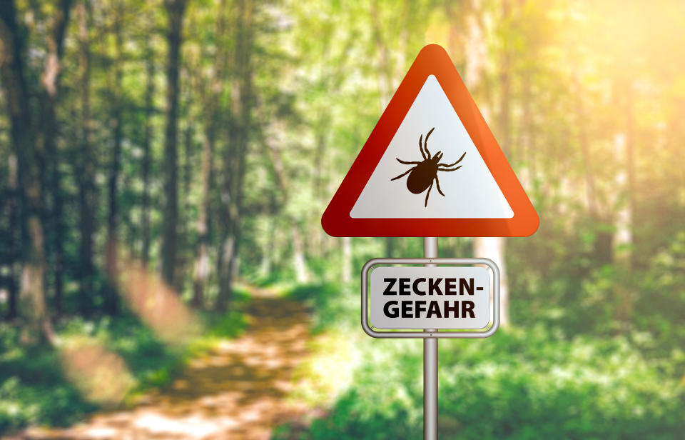 Schild im Wald warnt vor Zecken