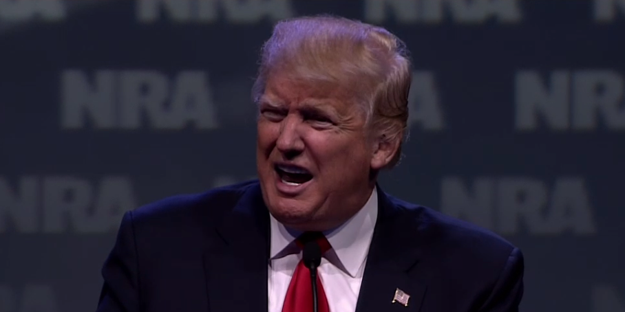 Donald Trump NRA