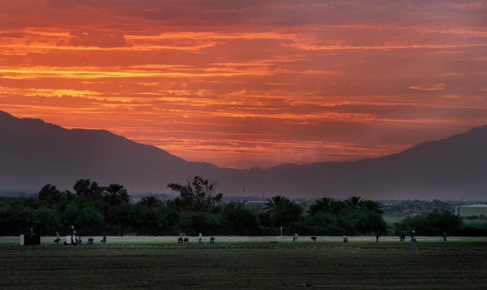 Dusk settles over the Coachella Valley.