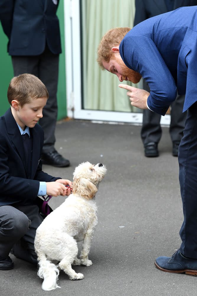 Prince Harry Gets an Adorable Welcome from Young Students