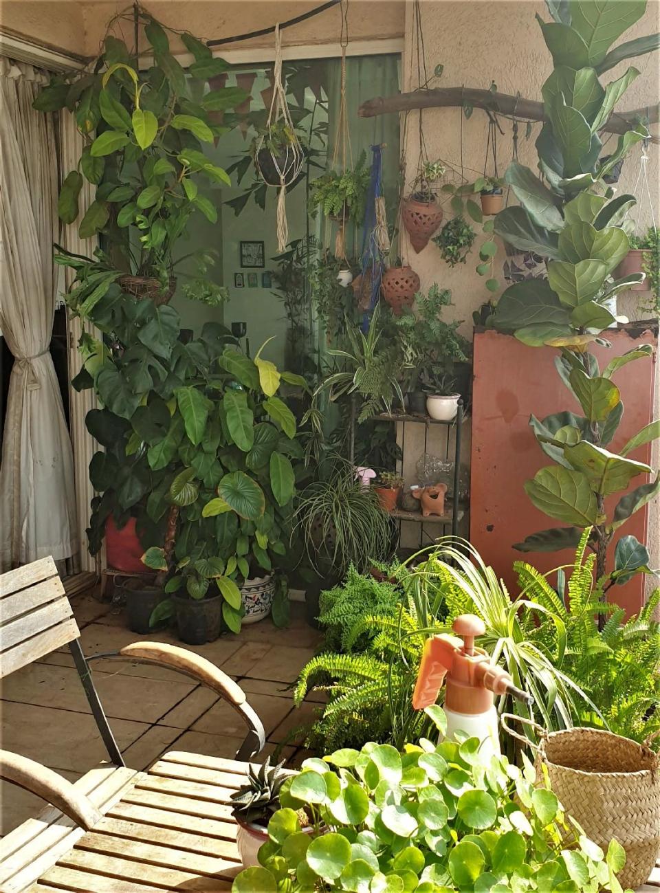 "The balcony garden is where we all are spending most of our time. I'm very happy to have invested the time and energy to nurture and grow my plant babies. It has paid off in spades."