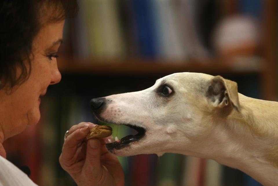 Pamela Parson gives Oakley a snack at the Brown Cancer Center.May 13, 2022 