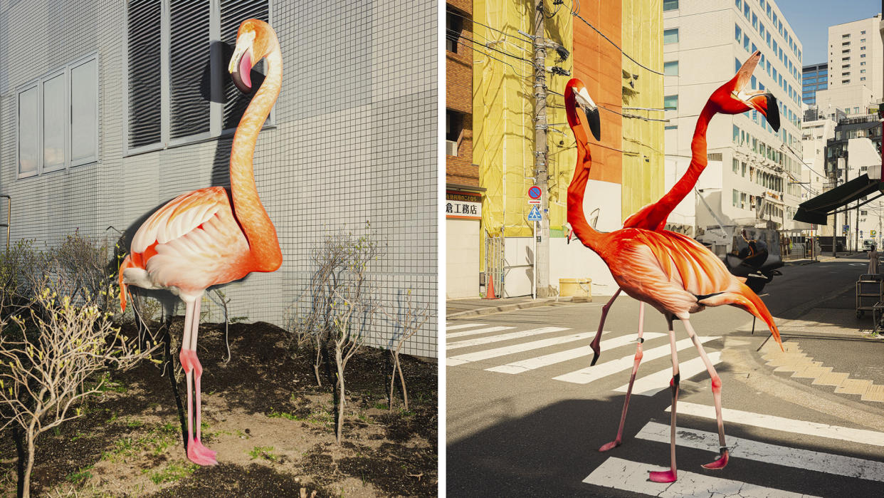  AI generated flamingos on real travel images taken by photographer Ben Brain. 