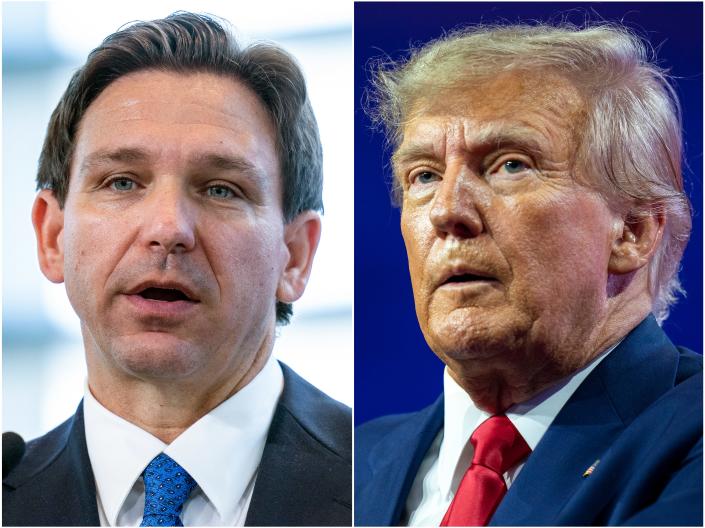 New Hampshire fighters Ron DeSantis and Donald Trump