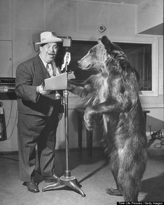 Trained bear named Rosie rehearsing for a radio program