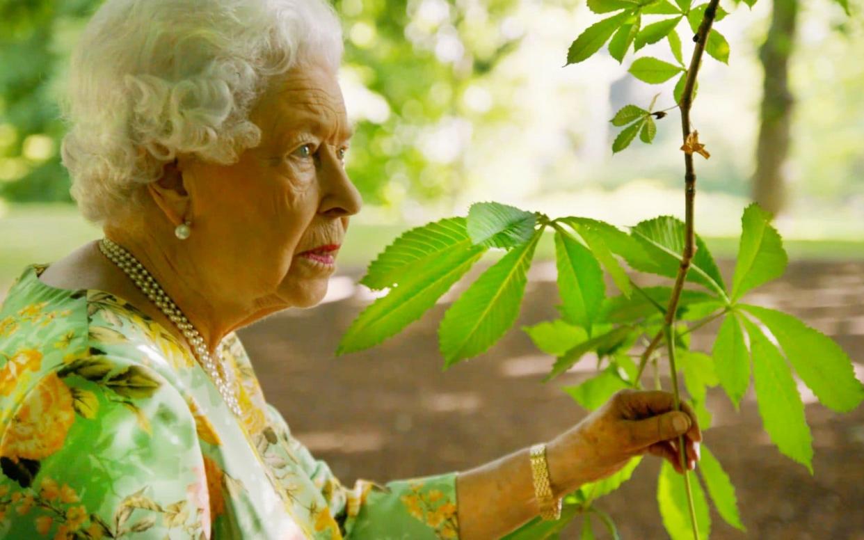 The Queen walks through the gardens of Buckingham Palace in The Queen's Green Planet - ITV