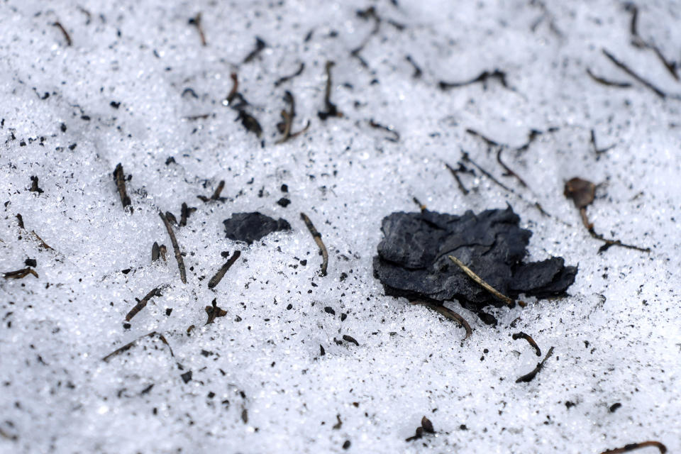 Burned tree bark and other debris sit on melting snow at the site of the 2021 Caldor Fire, Monday, April 4, 2022, near Twin Bridges, Calif. As wildfires intensify across the West, researchers are studying how scorched trees could lead to a faster snowmelt and end up disrupting water supplies. Without a tree canopy, snow is exposed to more sunlight. (AP Photo/Brittany Peterson)