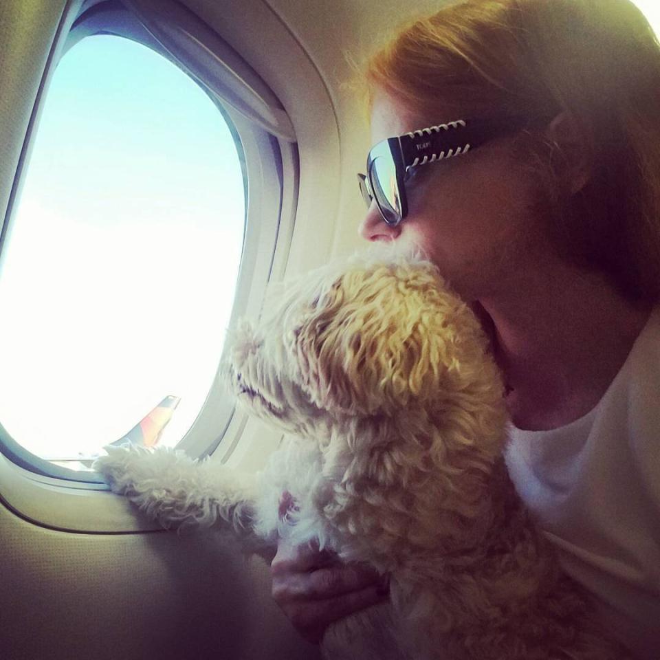 Chaplin makes a warm and fuzzy flight companion for Jessica Chastain en route to Cannes.
