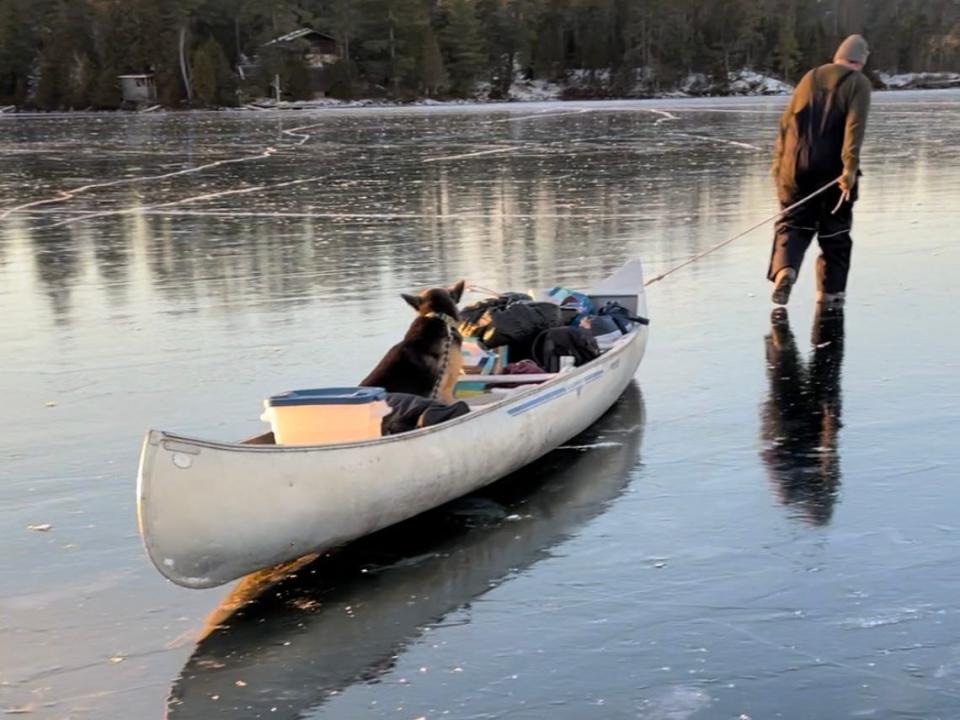 A man dragging a canoe with groceries and a dog across a frozen body of ice.