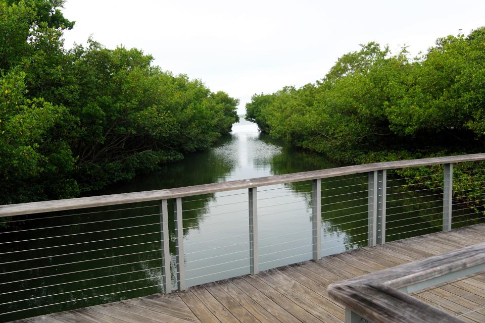 A bridge spans The Bay Park's mangrove bayou and offers views of Sarasota Bay.