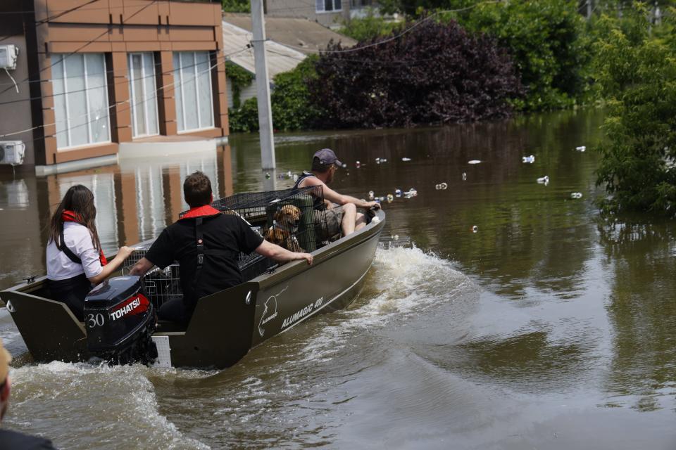 Volunteers are rescuing local residents and their animals from floodwaters in Kherson, Ukraine, on June 8, 2023.