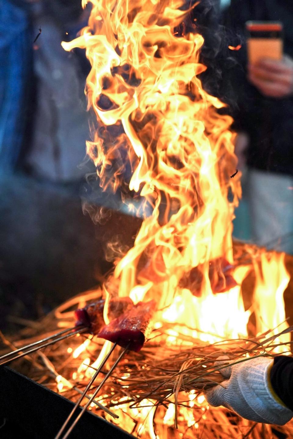 在「土佐鰹魚道場」體驗用稻草炙燒鰹魚。