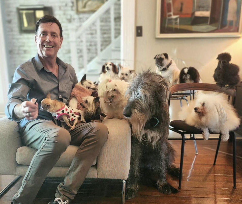 Over the past decade, Steve Greig has adopted dozens of disabled and elderly dogs, hoping to give them the happiest end-of-life experience possible. In this photo, Greig poses with his pets in June. (@wolfgang2242)