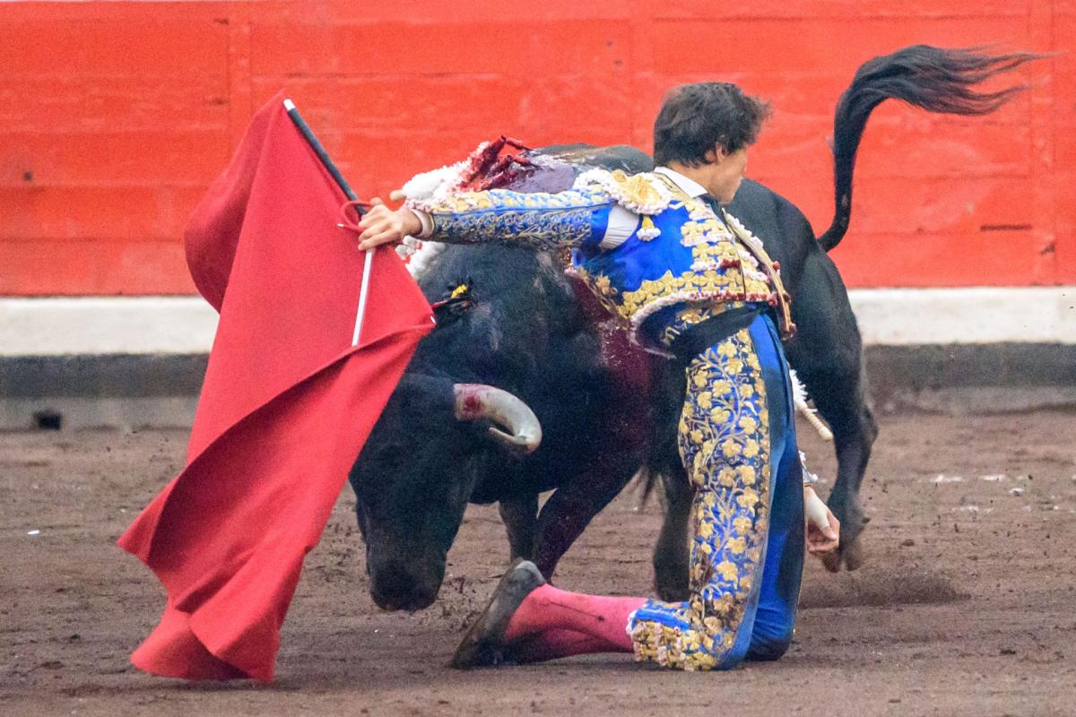 El Peruano Roca Rey Volverá A Torear El Sábado En España Tras Guardar Reposo 