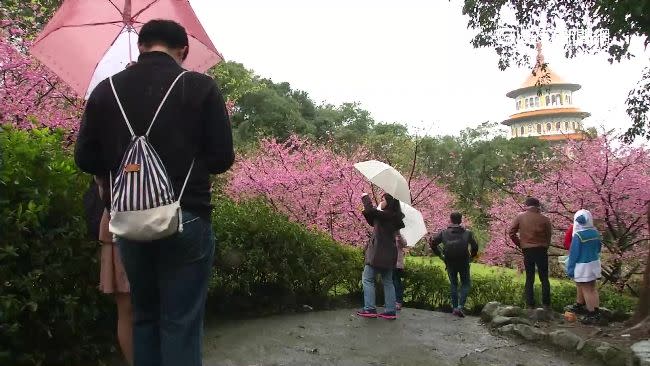 今日東北季風影響，北海岸、大台北東側及東半部有局部短暫雨。（示意圖／資料照）