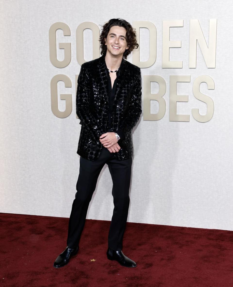 Timothee Chalamet on the red carpet of the 81st Annual