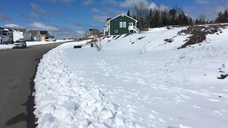 Property glut: vacant lots surround parkland Saint John wants developed