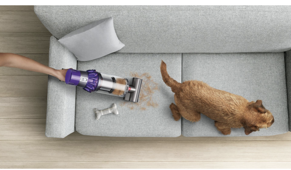 A person using a the Dyson V10 in handheld mode to vacuum up dog hair from a couch as the dog scurries away