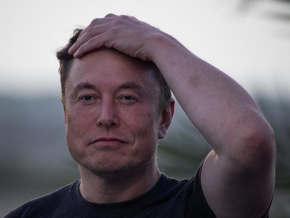 A picture of Elon Musk from the shoulders up. He's wearing a black t-shirt and clasping his left hand to his head with a calm expression on his face.