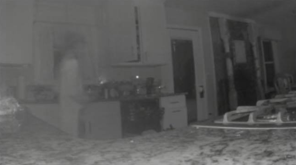 The image Jennifer Hodge believes shows the ghost of her late son. (Photo: Facebook)
