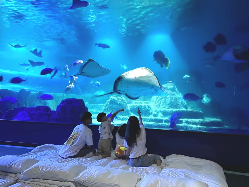 只有限量名額能體驗夜宿水族館，記得要趁早預訂