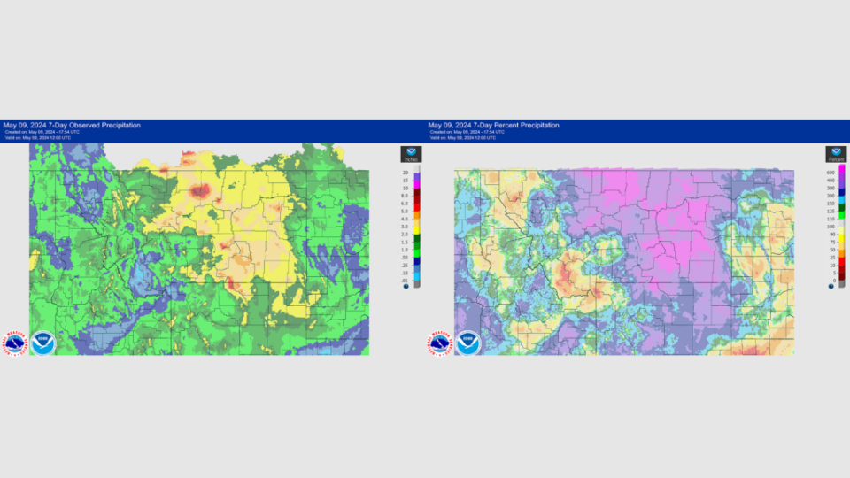 A graphic showing the observed precipitation for May 2-9 (left) and the percent of normal precipitation for that period compared to the period of record. (Image via NOAA/NWS)