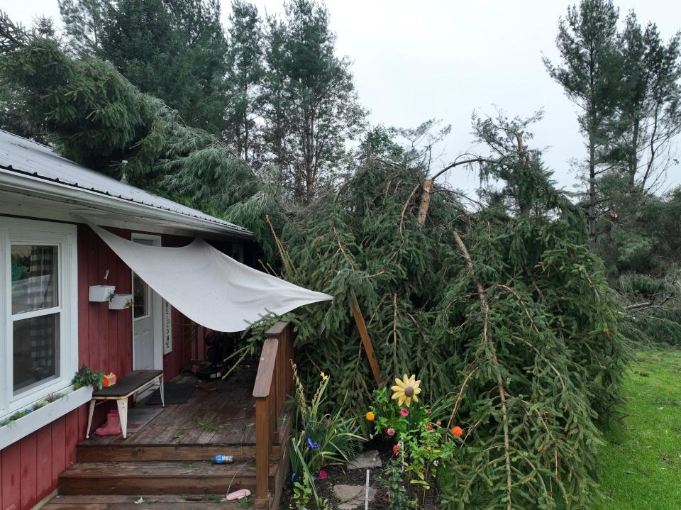 A tree downed during a tornado on Thursday, Aug. 24, 2023, landed on the Lang family home on Judd Road in Fowlerville.
