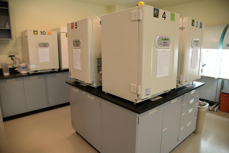 At Texas Fertility Center's lab, Ovagen Fertility, embryos are stored and frozen until they are needed or until they are sent for long-term storage.