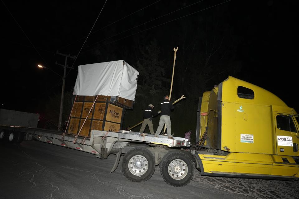 Un camión que transporta una jirafa llamada Benito llega al santuario Africam Safari en las afueras de Puebla, México, el martes 23 de enero de 2024. (AP Foto/Fernando Llano)